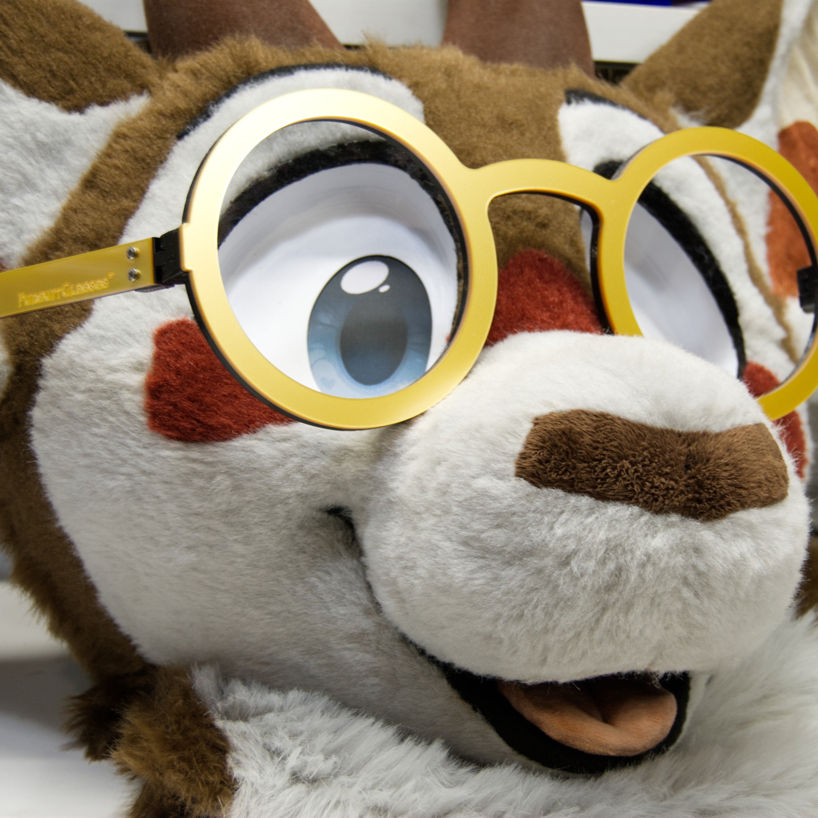 Acrylic Circle Fursuit Glasses