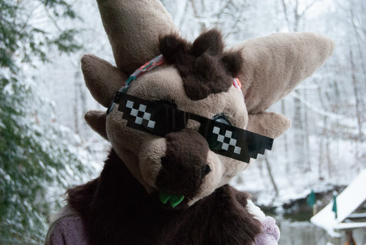 Deal With It Glasses for Fursuit