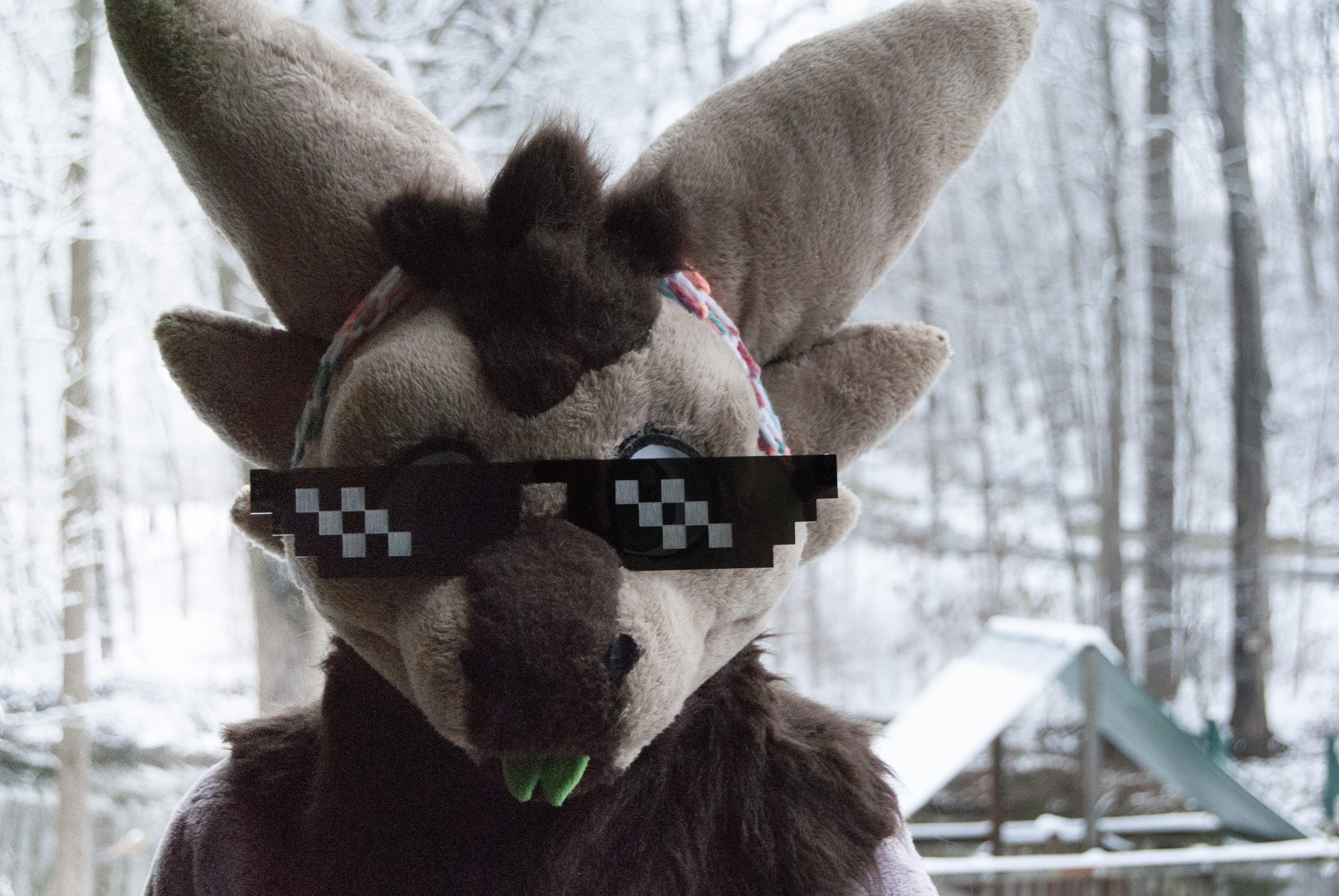 Deal With It Glasses for Fursuit