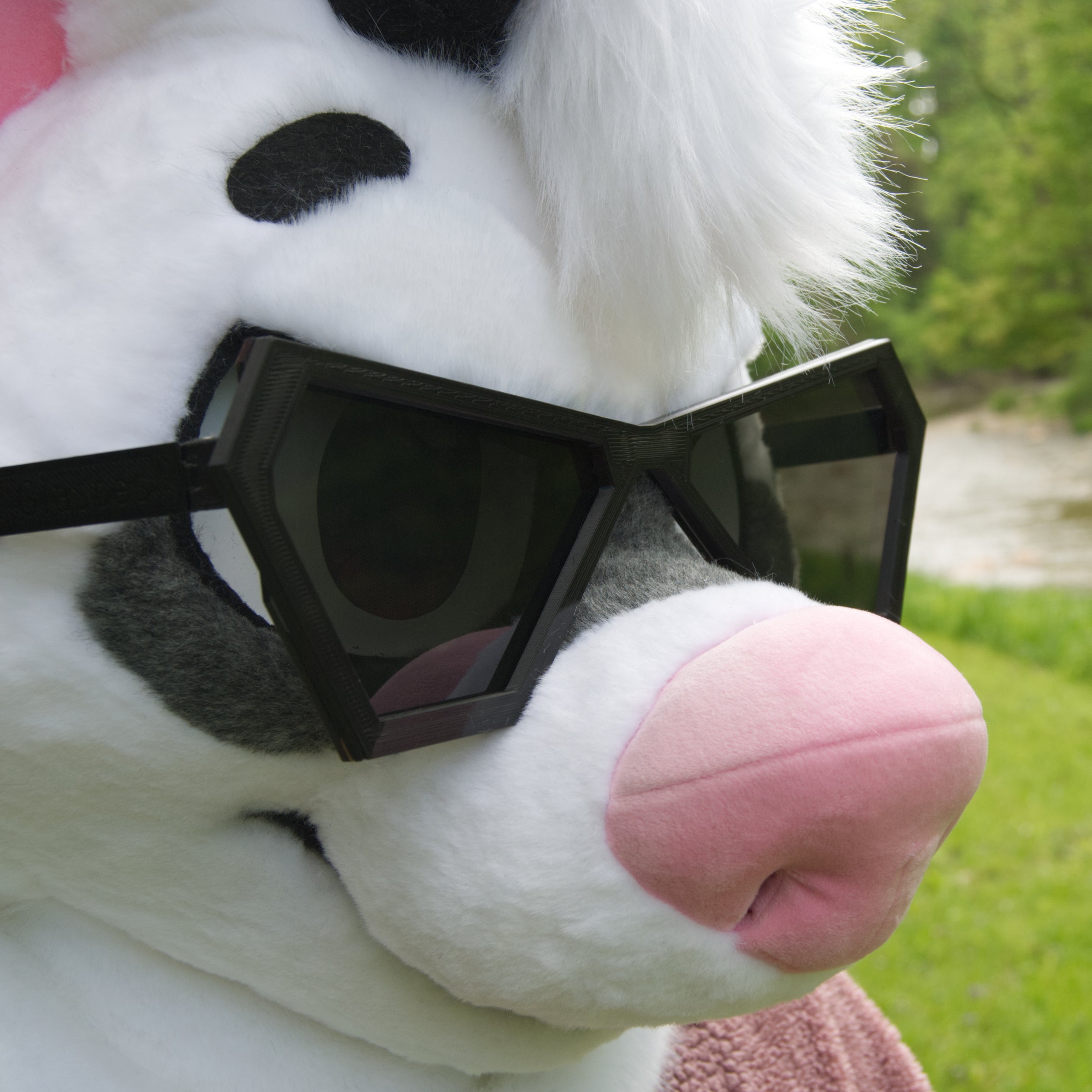 Plastic Apex Fursuit Glasses