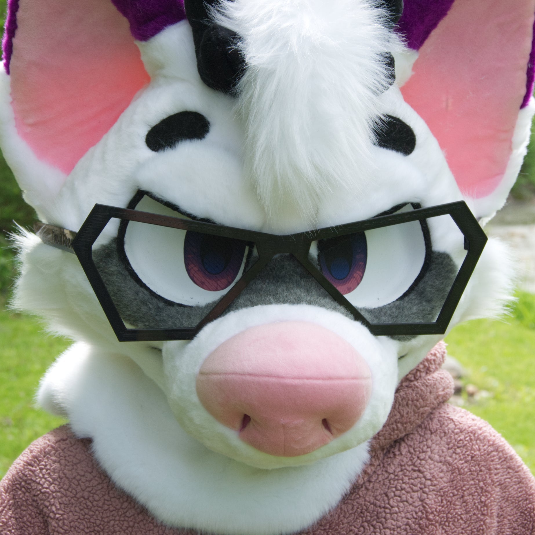 Plastic Apex Fursuit Glasses