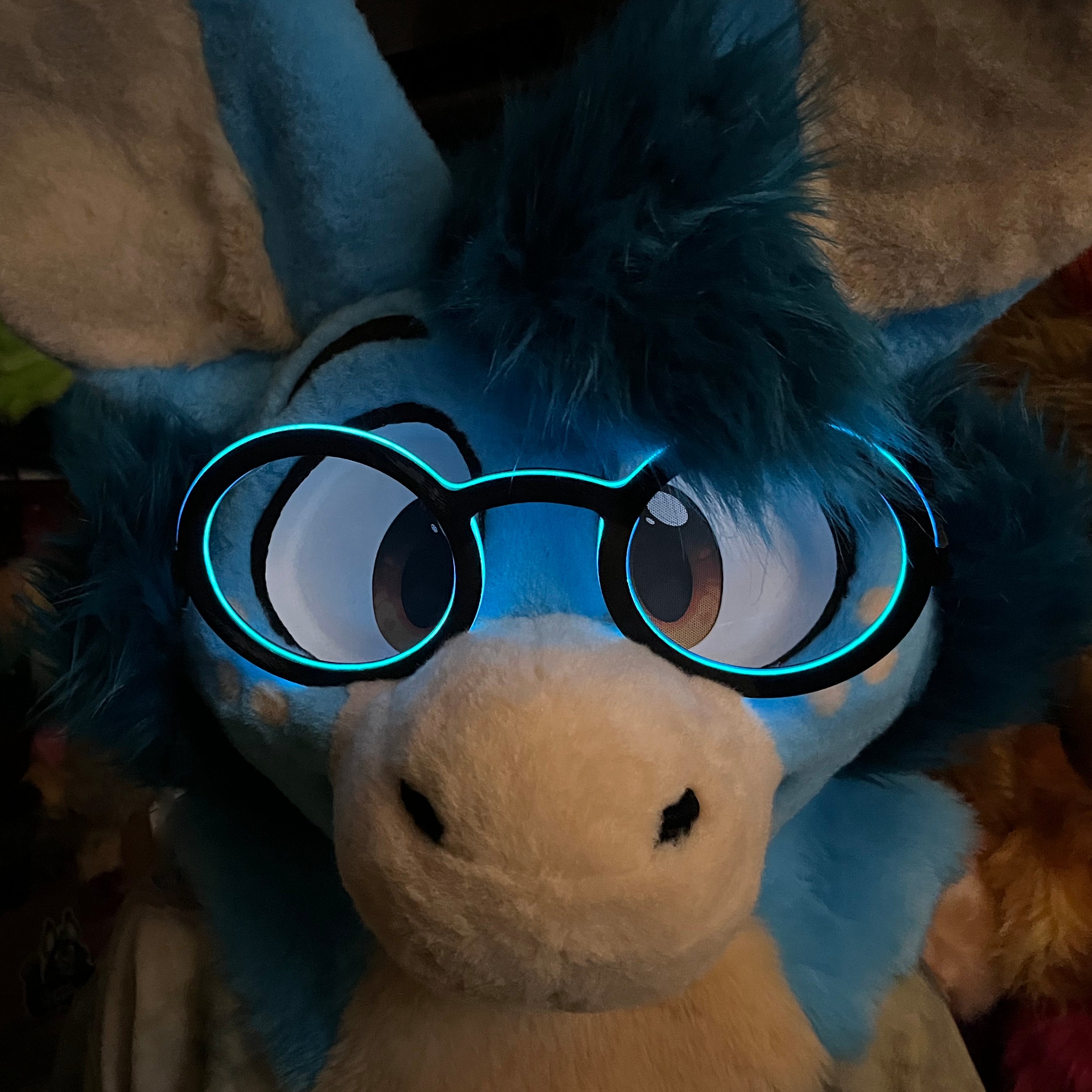 EL Wire Fursuit Glasses