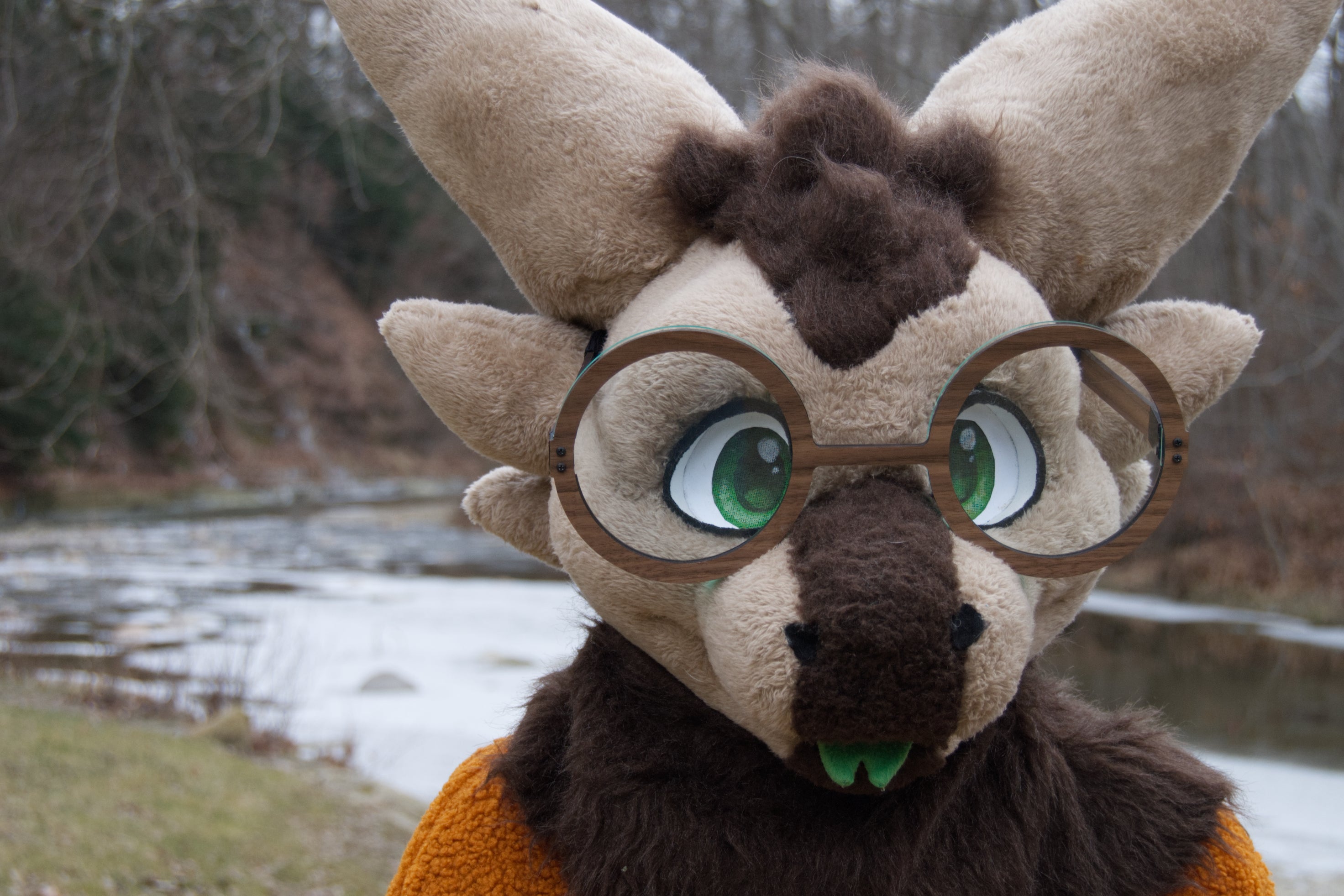Wooden Circle Fursuit Glasses