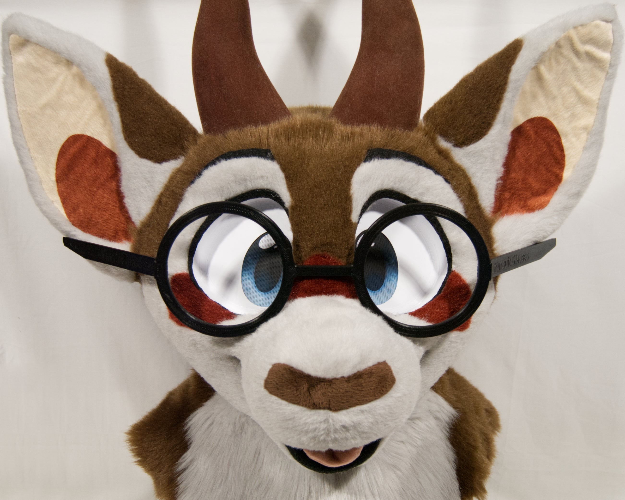 Plastic Circle Fursuit Glasses